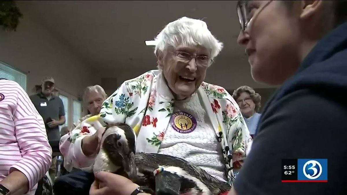 104-year-old woman is granted her lifelong wish of meeting a penguin