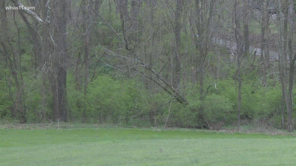 Body of young boy found in suitcase