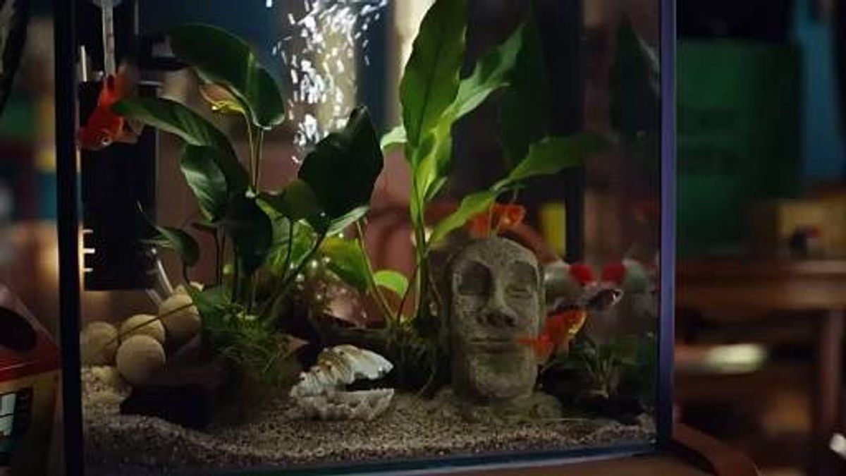 Chris Young on Corey Seager's nagging hamstring, Evan Carter's strong play, Burger's return