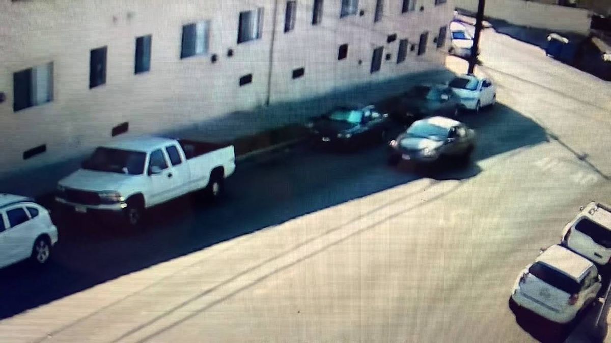 Police searching for suspect in fatal Weslake hit-and-run of elderly woman
