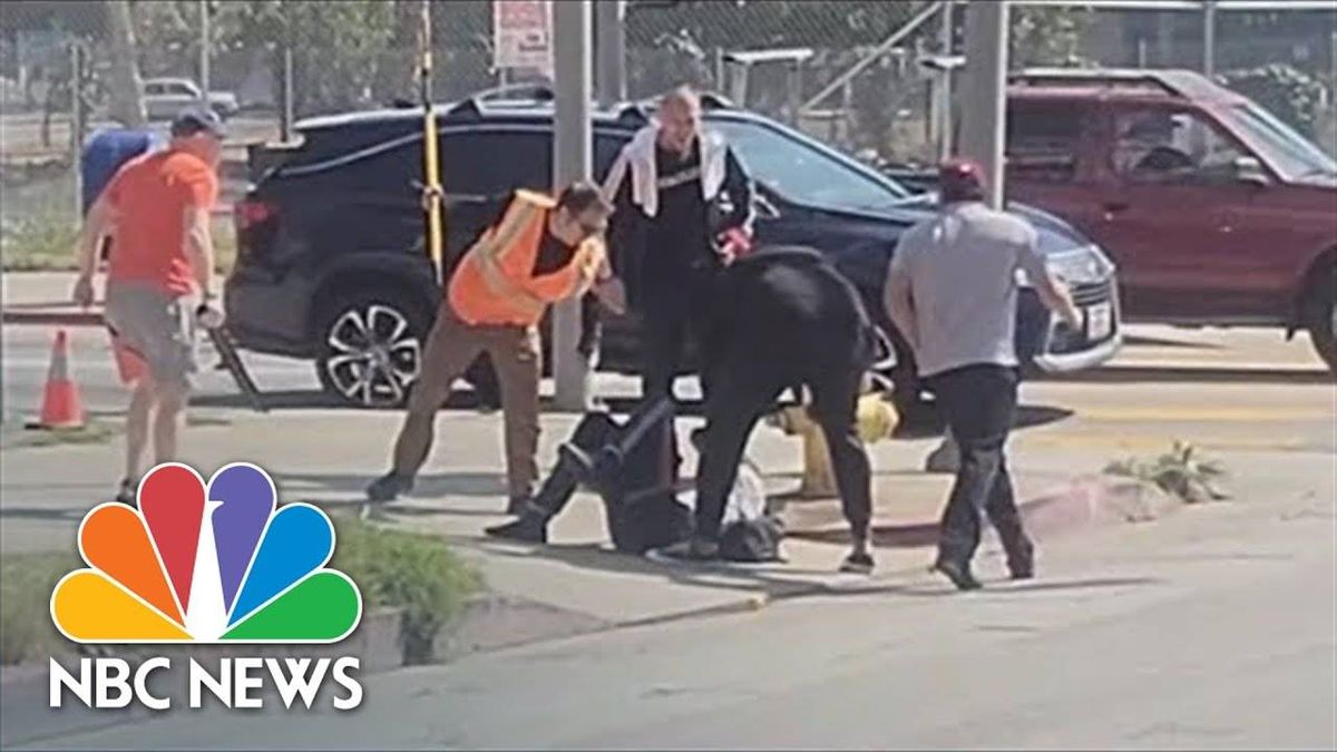 'Hunger Games' star rescues dog from abusive man in Hollywood citizen's arrest