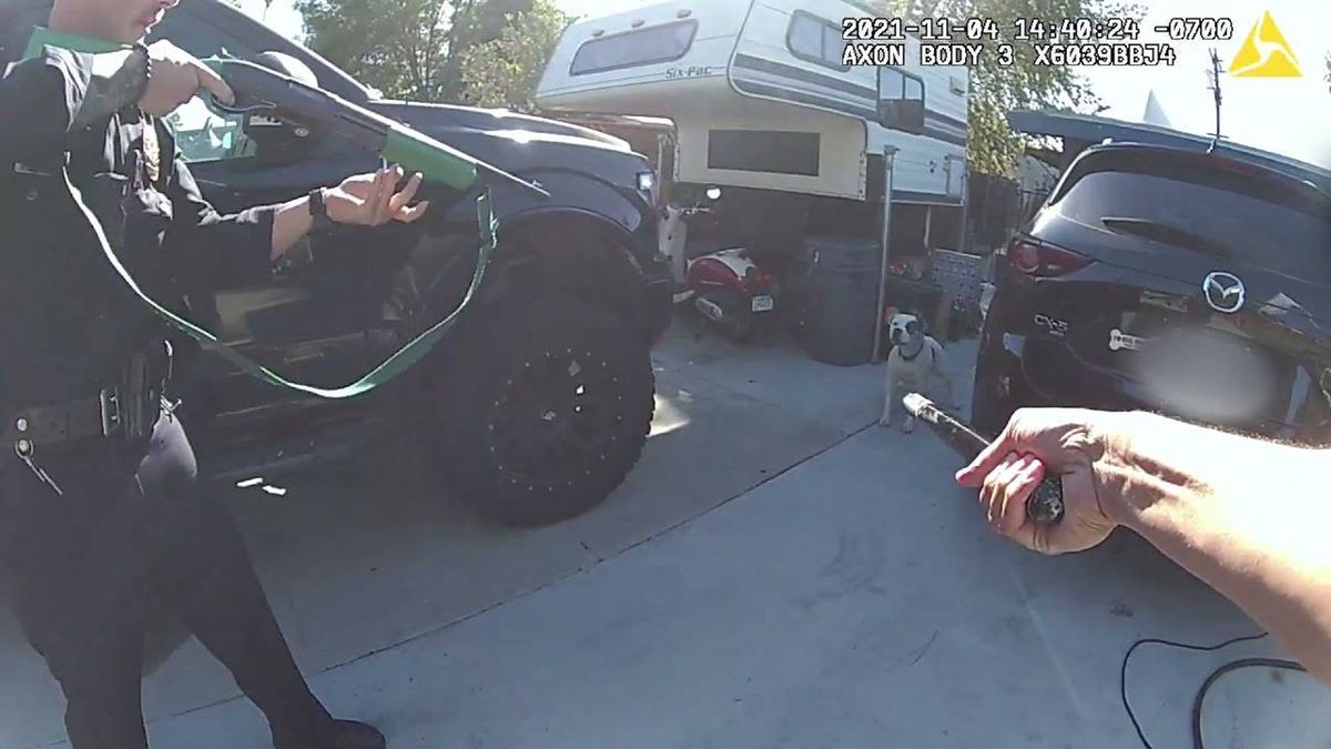 VIDEO: LAPD release body cam footage of non-lethal shooting of family dog