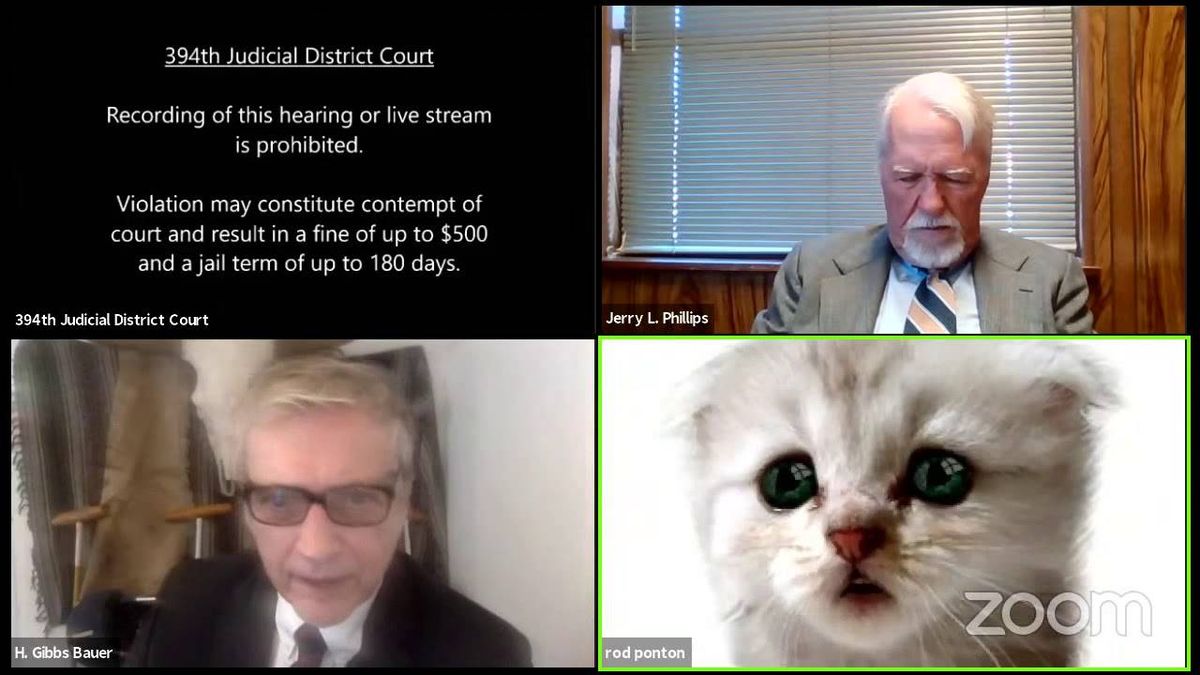 Watch: Lawyer tells judge 'I'm not a cat' after joining Zoom court hearing with kitten filter