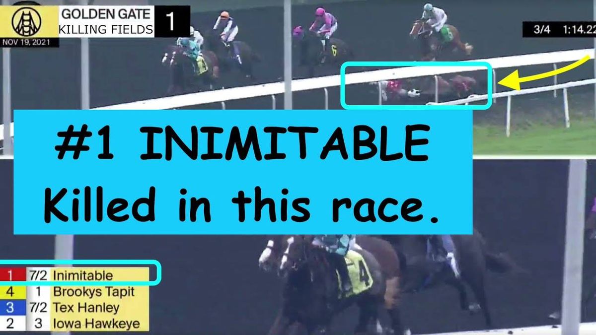 Berkeley racetrack records 4 horse deaths in last 8 days