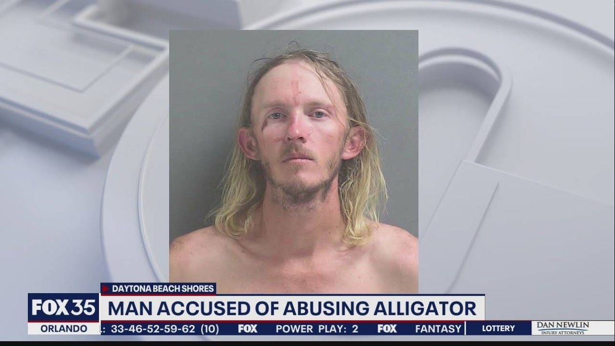Florida man steals alligator, stomps and beats it to ‘teach it a lesson’