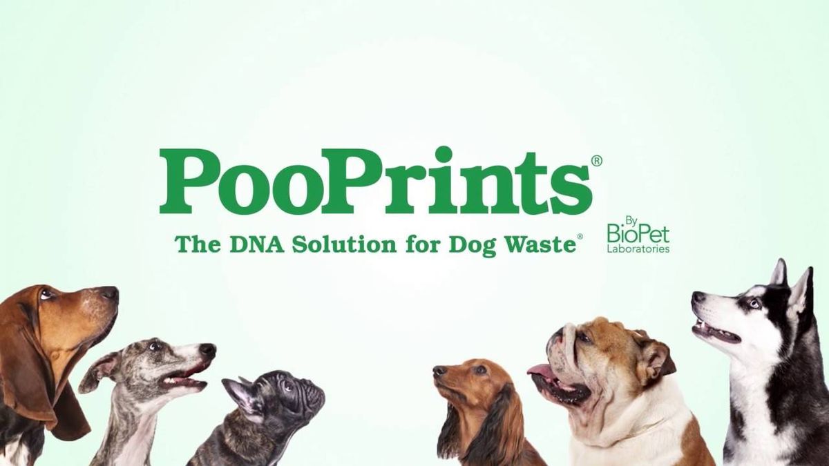 St. Louis apartment uses DNA tests on dog poop to fine thoughtless owners
