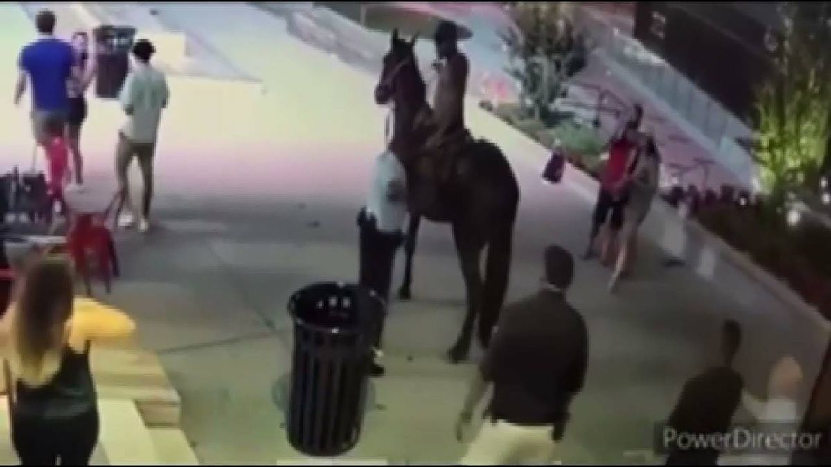 CAUGHT ON VIDEO: Officer aims gun at shirtless man on horse outside Ballpark Village
