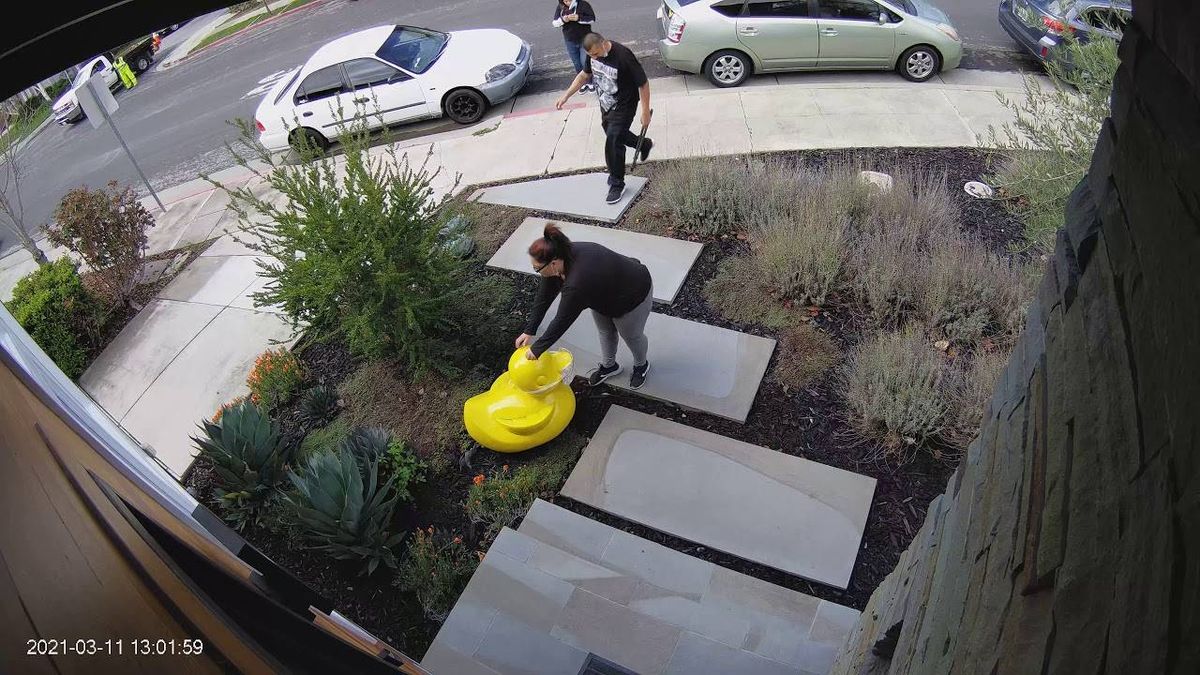 VIDEO: Thieves steal duck statue 'Ruberta' from Mountain View yard