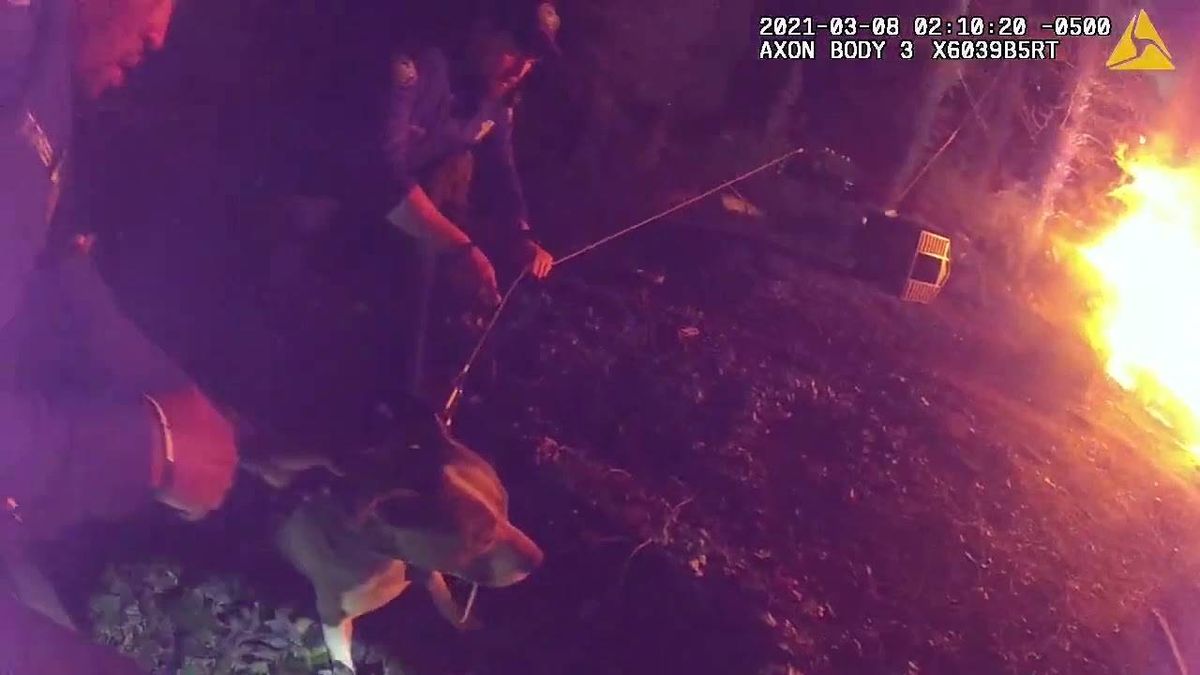 Riveting video captures moment police officers rescue dog tightly tethered near blazing fire