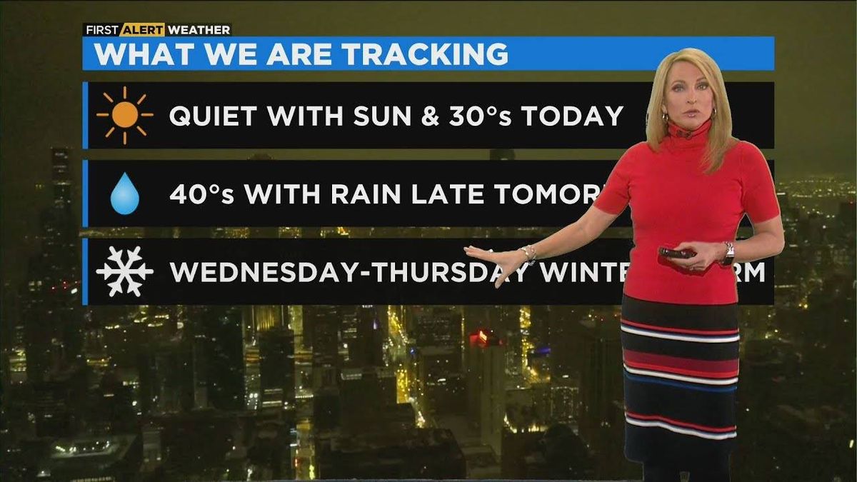 'What about those crazy forecast maps with 20"+ of snow?': Forecasts uncertain as major winter storm approaches Chicago area