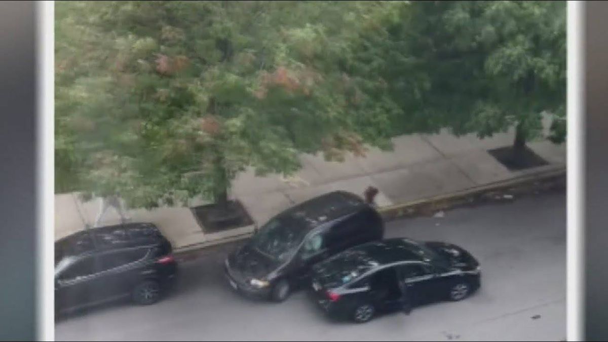 Woman in West Loop escapes from would-be kidnapper with help of Good Samaritans, police say