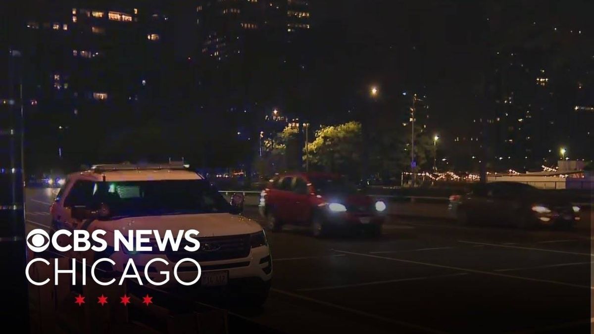 2 shot on DuSable Lake Shore Drive in Gold Coast: Police