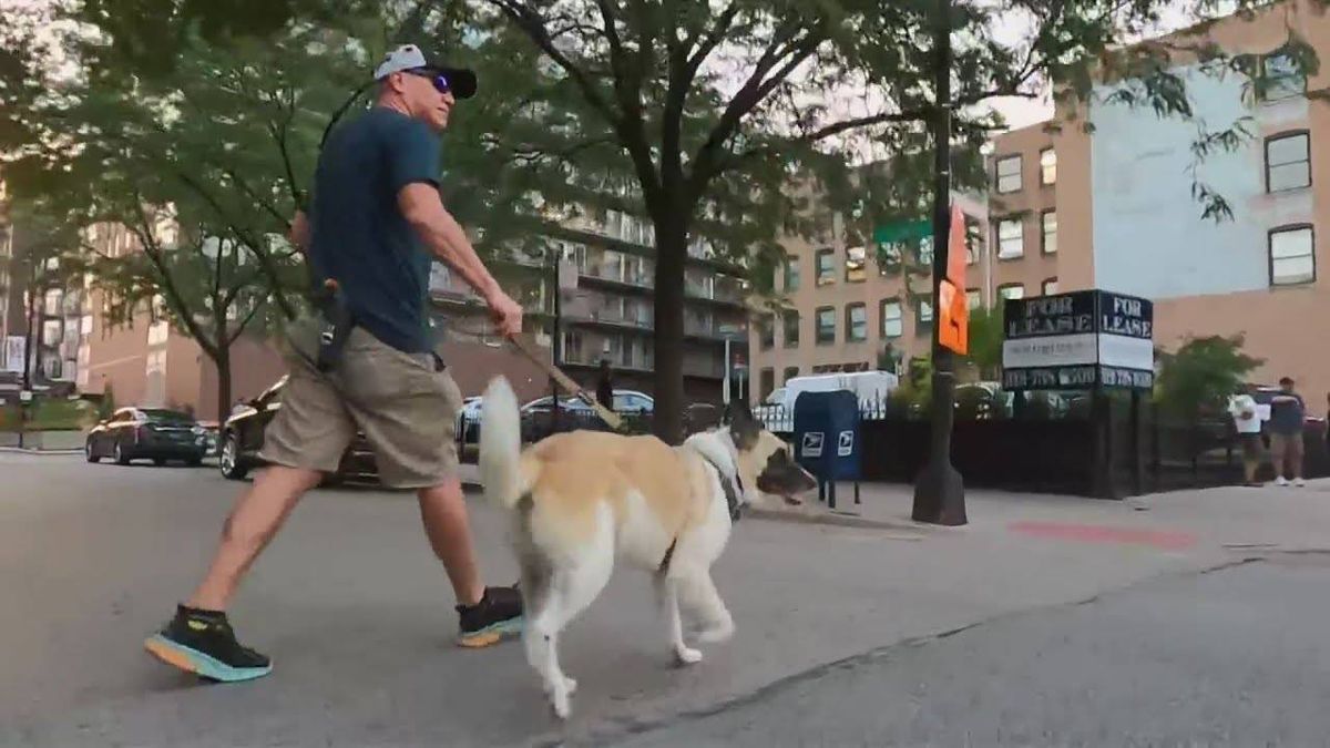 West Loop man, a hero, after breaking up would be kidnapping with his pepper spray, neighbors say