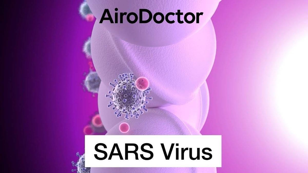 Made In Chicago: AEX Technology Solutions