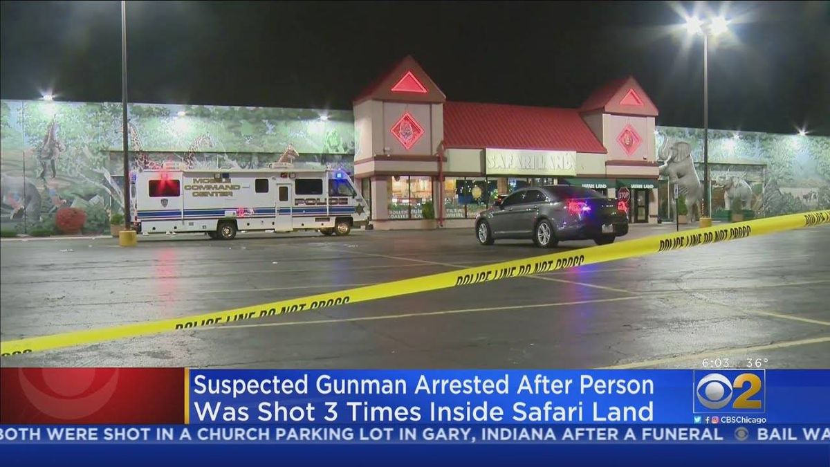 Arrest made in shooting at Safari Land indoor amusement park in Villa Park