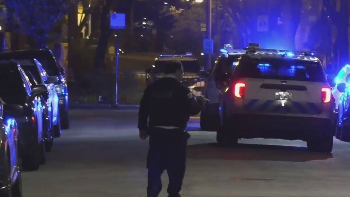 Woman shot while walking her dog on North Side, police say