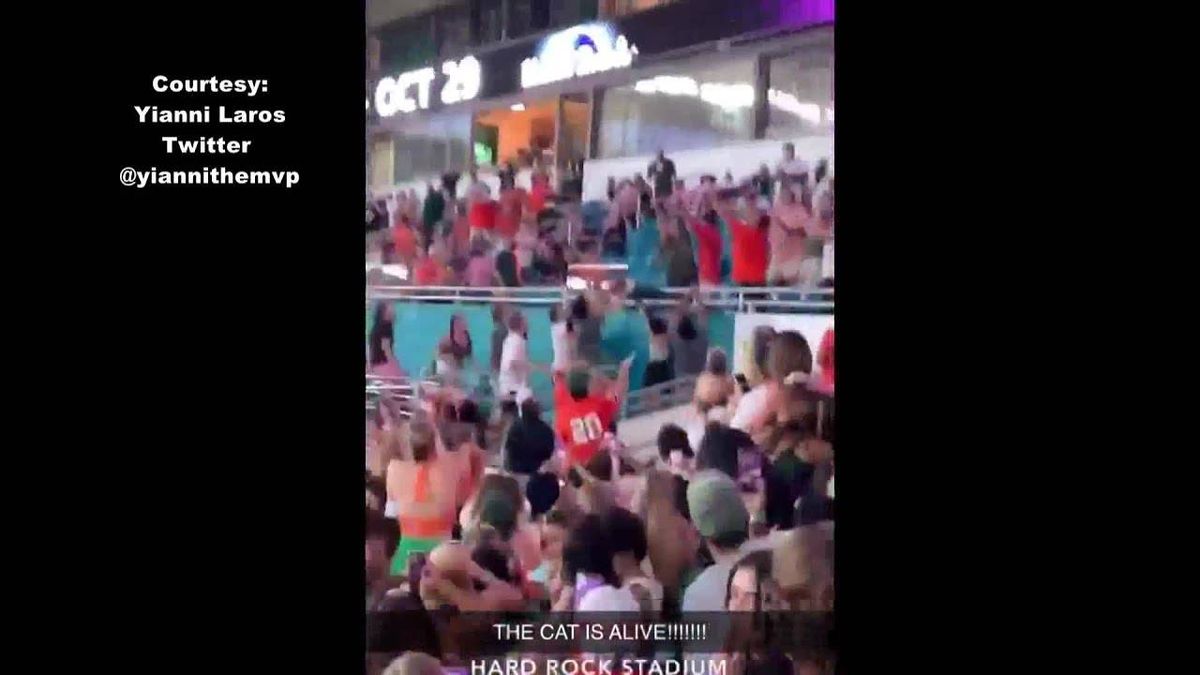 Miami fans catch falling cat with a U.S. flag