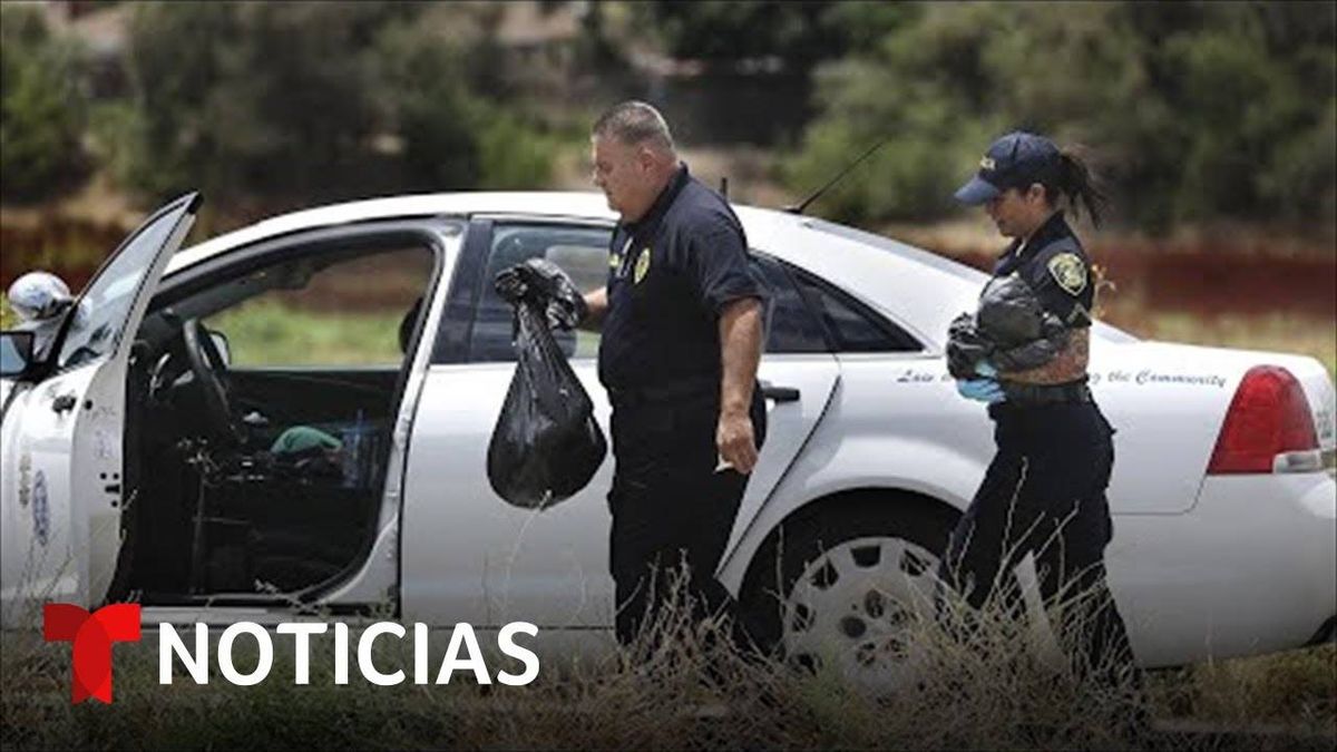 Mujer Y Sus Perros Mueren Al Ser Impactados Por Un Rayo