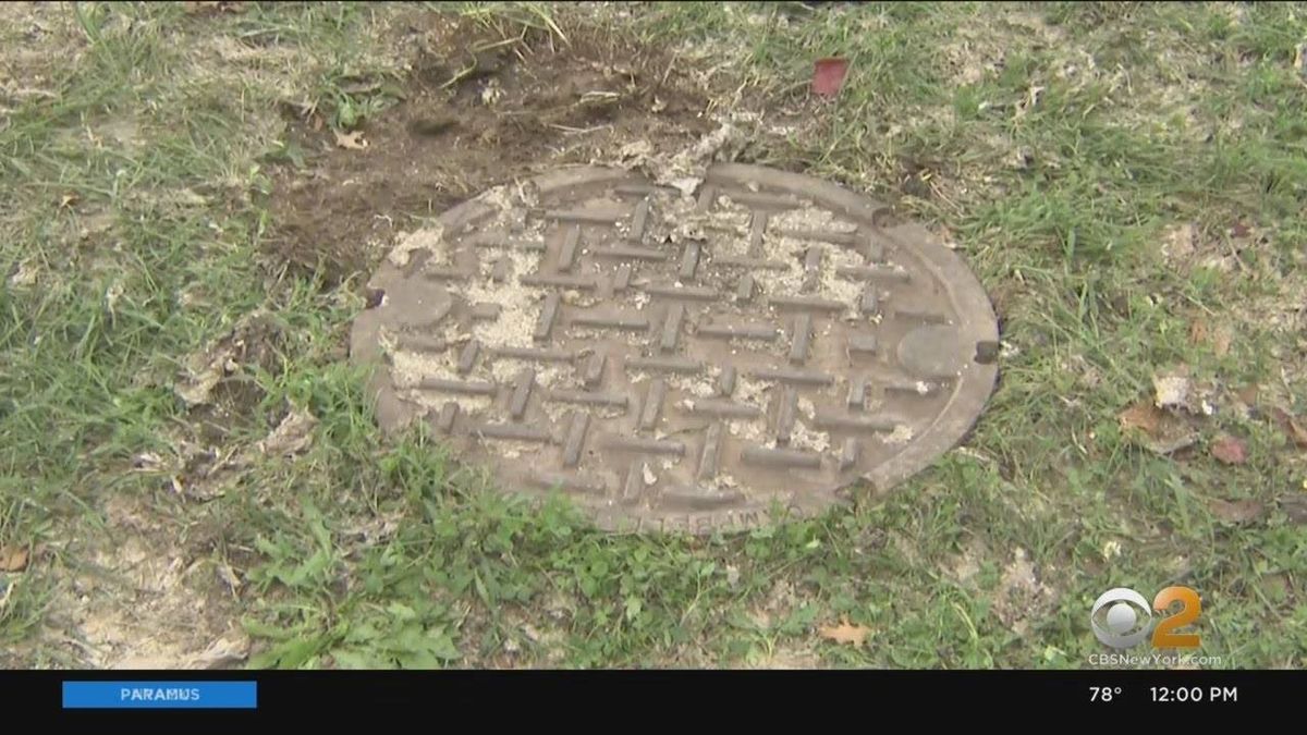 Mother saves 2-year-old son who fell into open manhole at NJ park