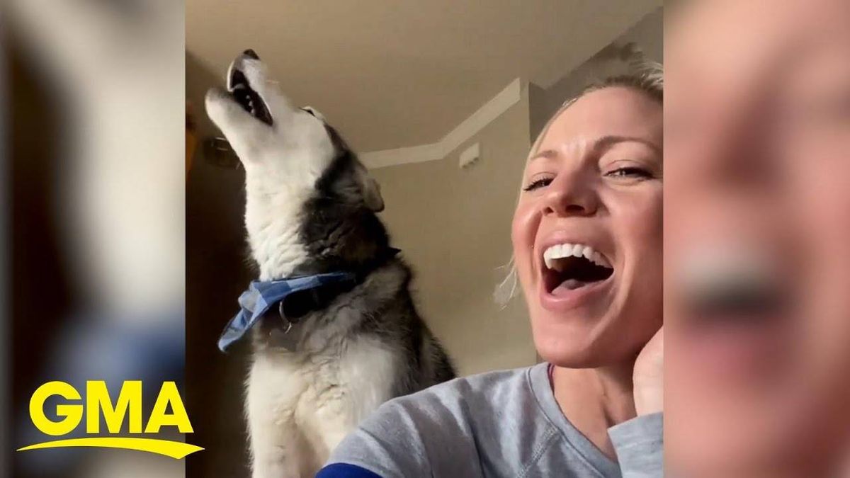 WATCH Husky & Owner Sing Guns N' Roses Together