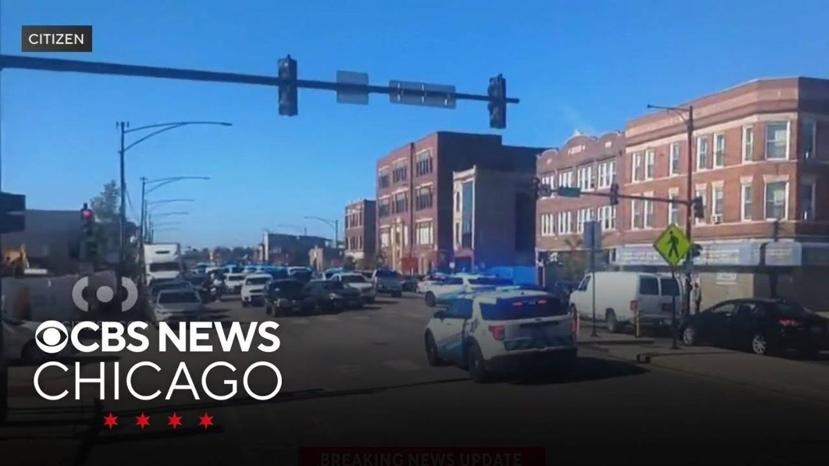 Pair charged with attacking Chicago Police during funeral brawl