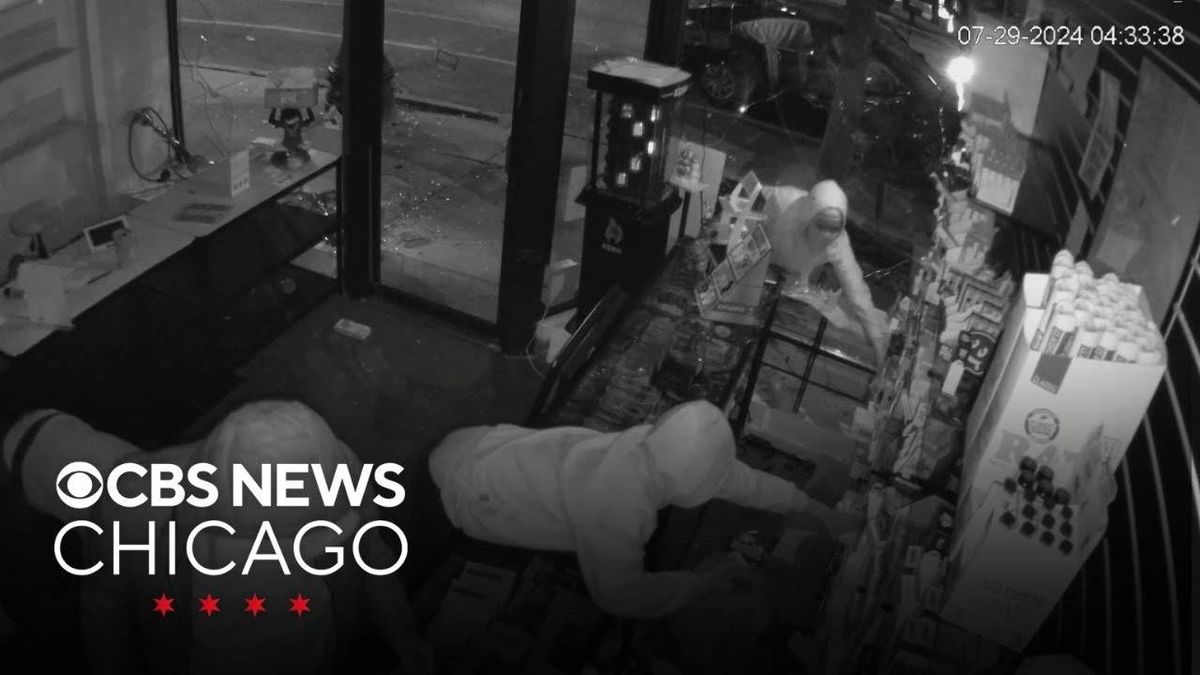 Vape shop among 2 Lincoln Park businesses ransacked overnight