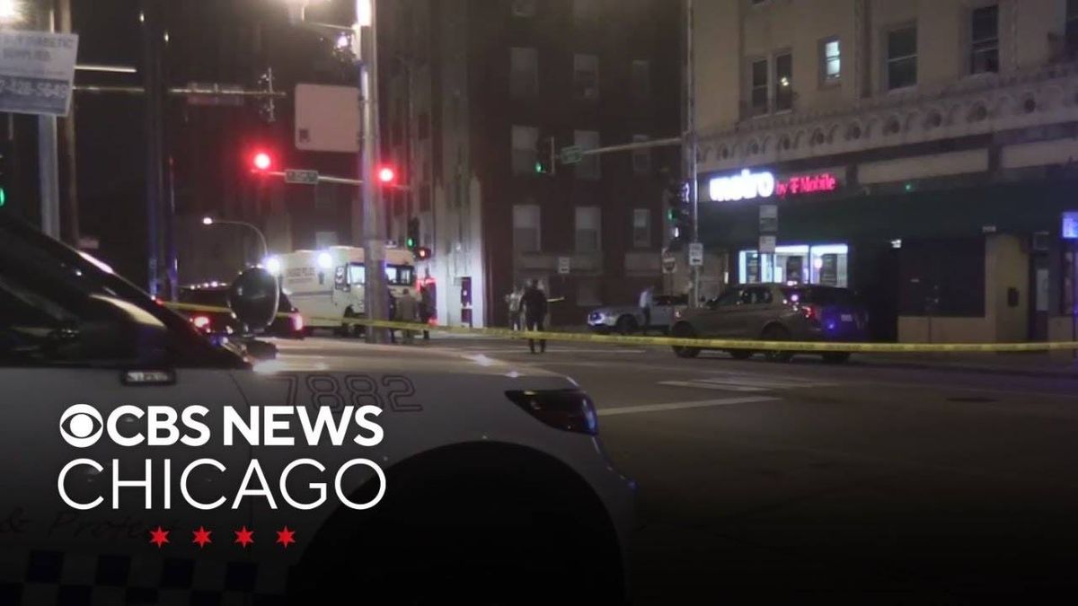 CPD officer discharges weapon on South Side while pursuing suspect