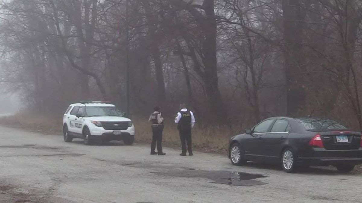 Human remains discovered in Far South Side forest preserve, county says