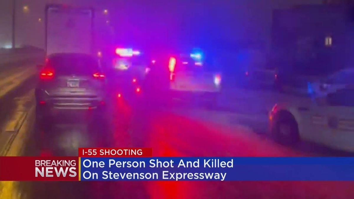 Driver shot and killed on Stevenson Expressway, pregnant wife uninjured: ISP