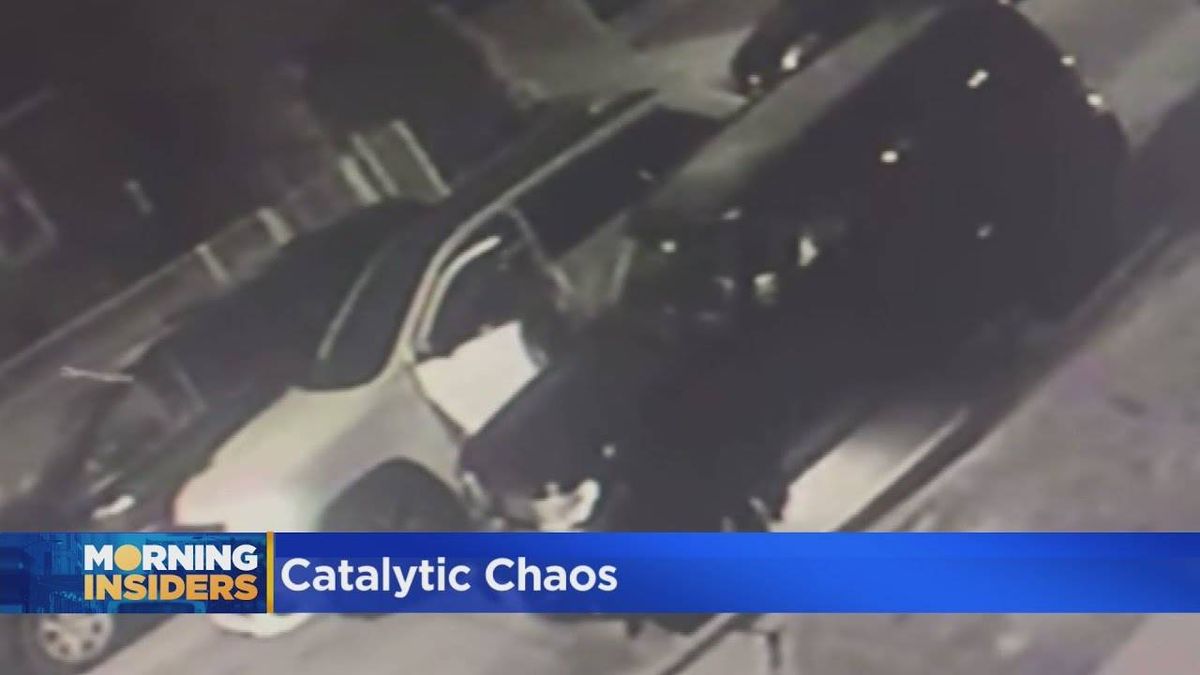 Lake County Sheriff's K-9 catches catalytic converter thief