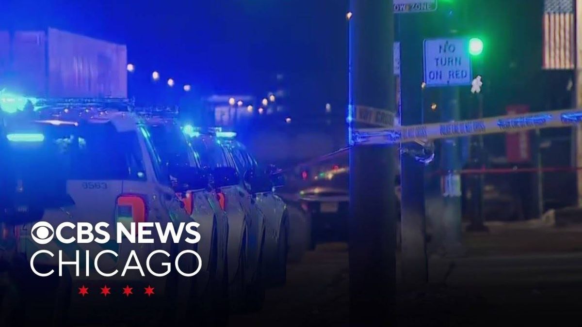 2 shot inside Chicago Lawn car dealership: CPD