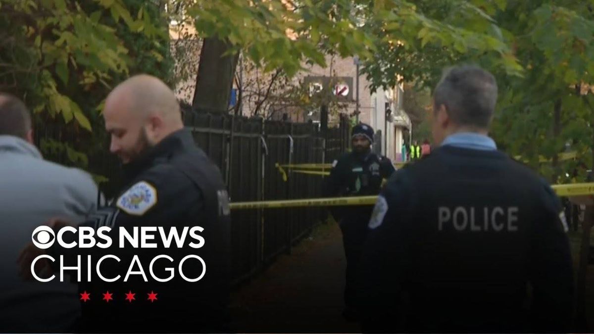 Nine-year-old girl among 2 shot near North Side school: Police