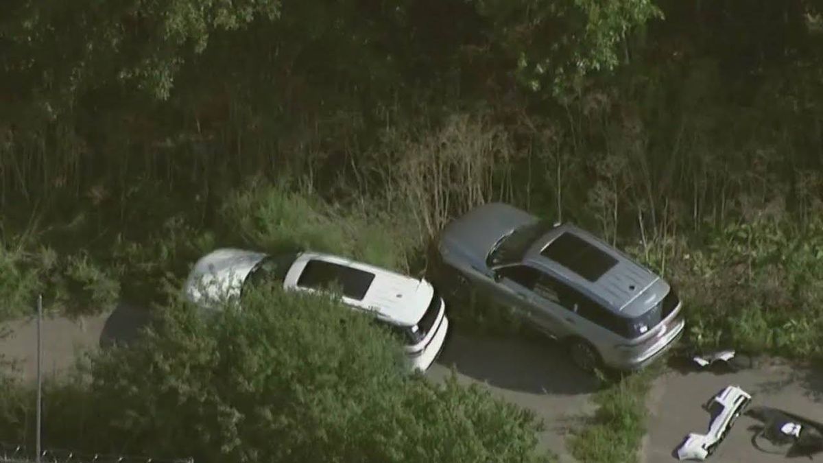 10 cars, valued at nearly $750K, stolen from South Side Ford plant