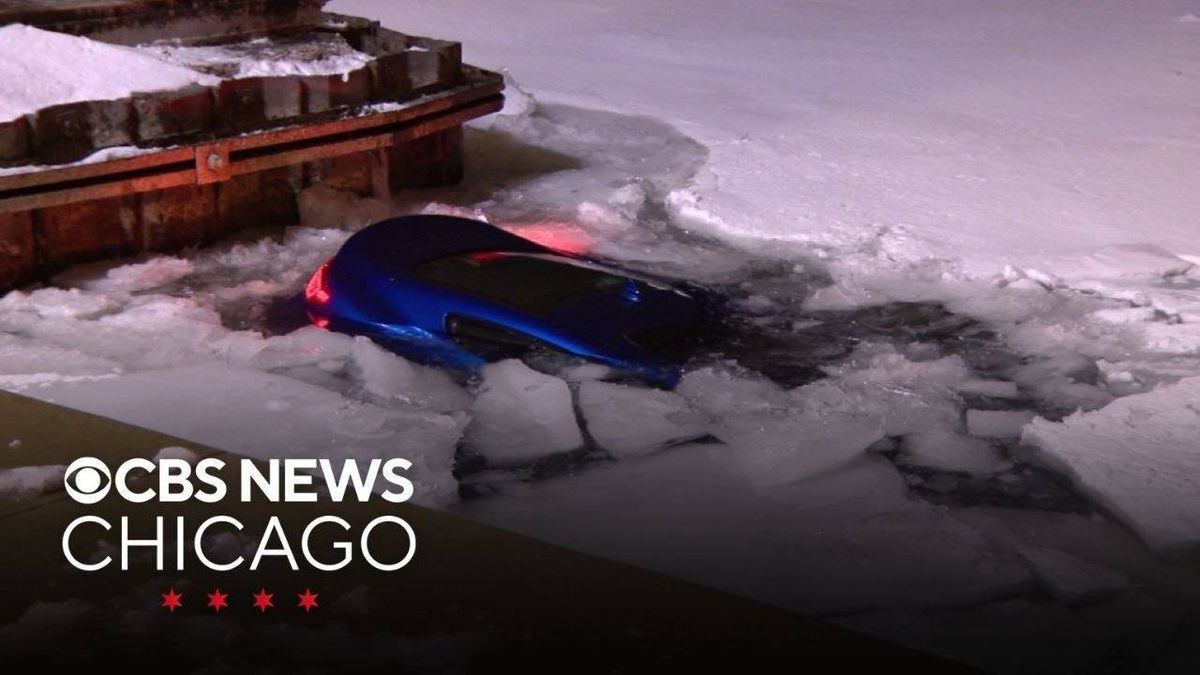 Car veers off DLSD, plunges into Lake Michigan near Grant Park: CPD