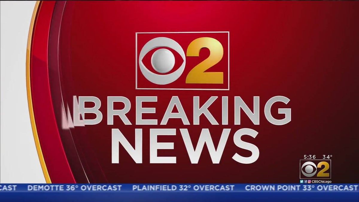 Girl, 11, shot while inside bedroom of Park Manor home