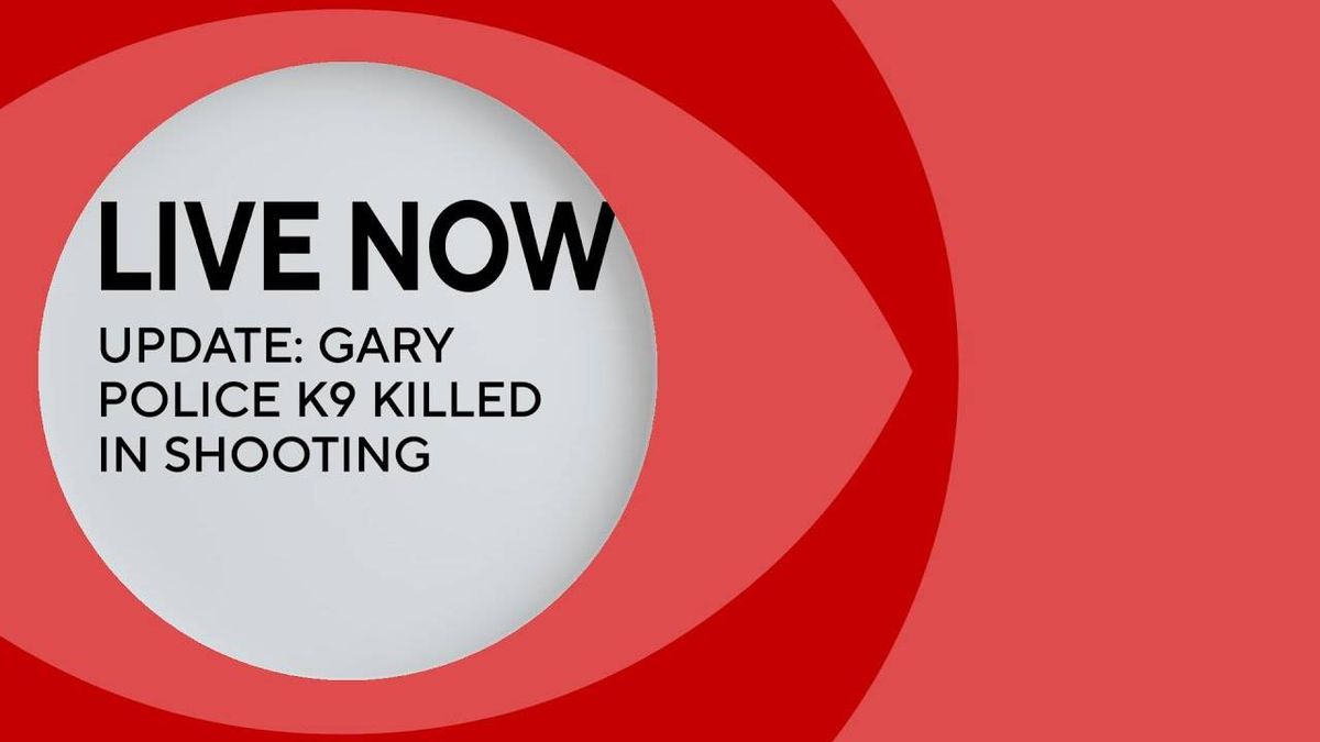 Police K-9 killed during foot chase in Gary: officials