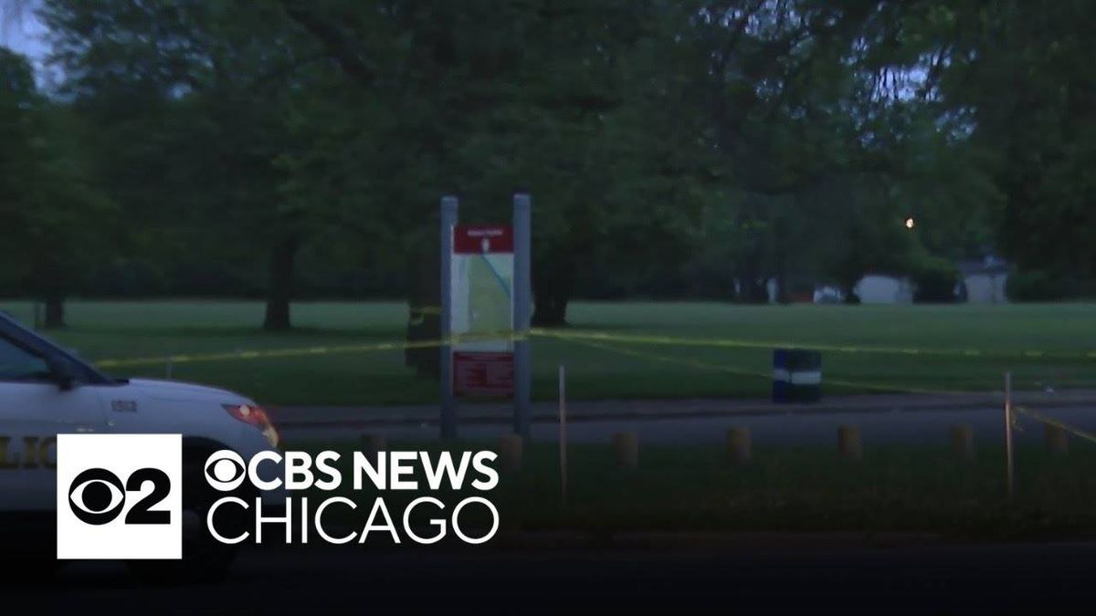 Man shot and killed at south suburban cookout: Sheriff