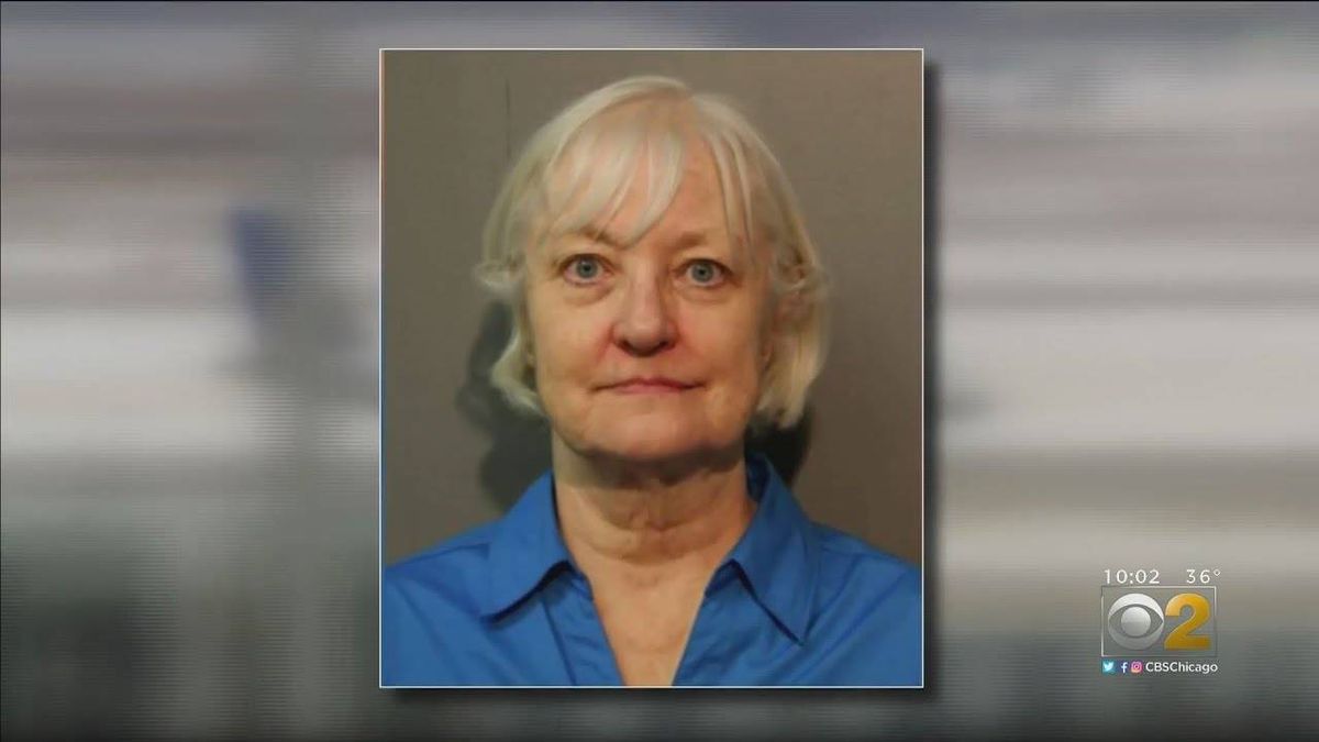 'Serial Stowaway' taken into custody at O'Hare again