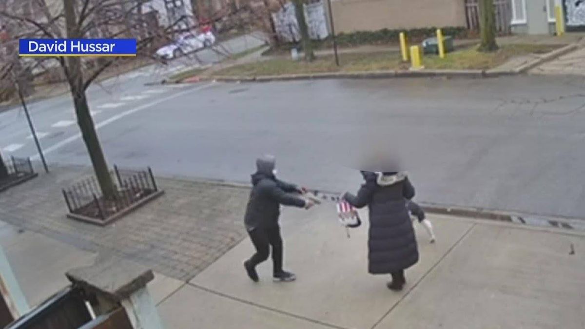 WATCH: Several Lincoln Park residents alarmed after security camera captures armed robbery of 70-year-old woman in broad daylight