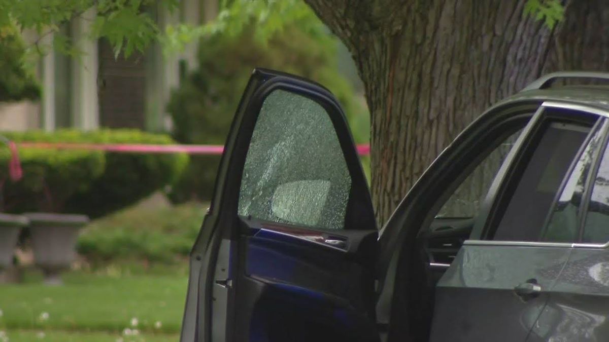 1 killed, 2 hurt in shooting at Dolton park: Police