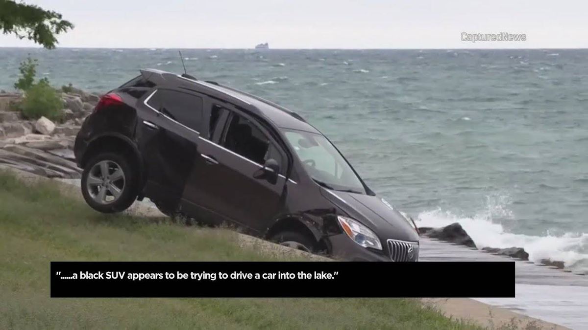 Alleged carjacker nearly crashes into Lake Michigan