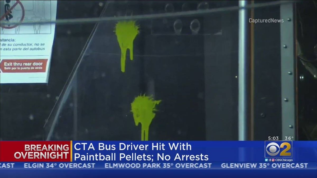 CTA bus driver injured in paintball gun attack in Chatham
