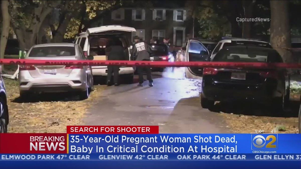 Baby delivered after pregnant woman fatally shot in Jeffery Manor: police