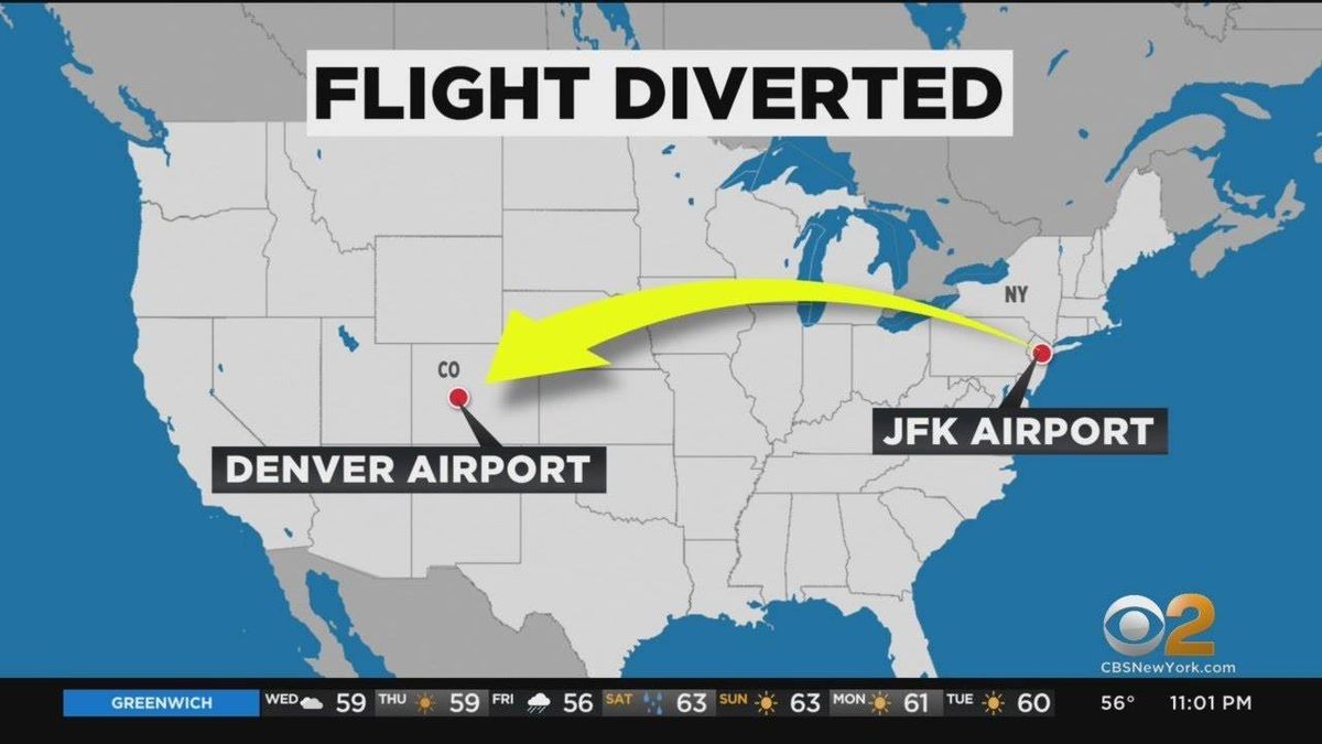 American Airlines flight from JFK diverted after passenger assaults flight attendant