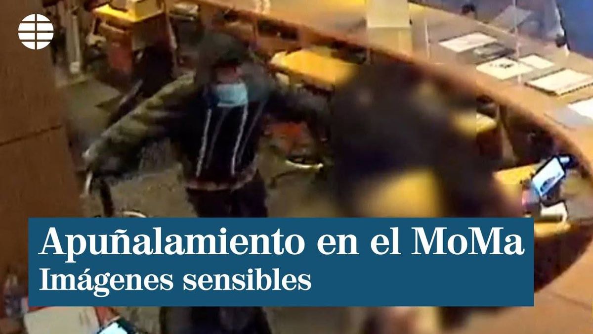 Arrestan Al Atacante De Museo De Arte Moderno En Nueva York