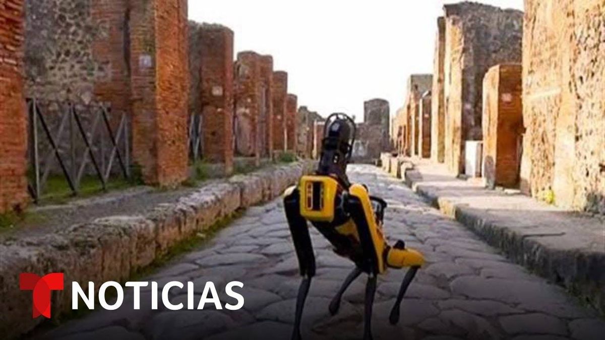 Perro Robot Es El Nuevo Velador De Las Ruinas De Pompeya En Italia