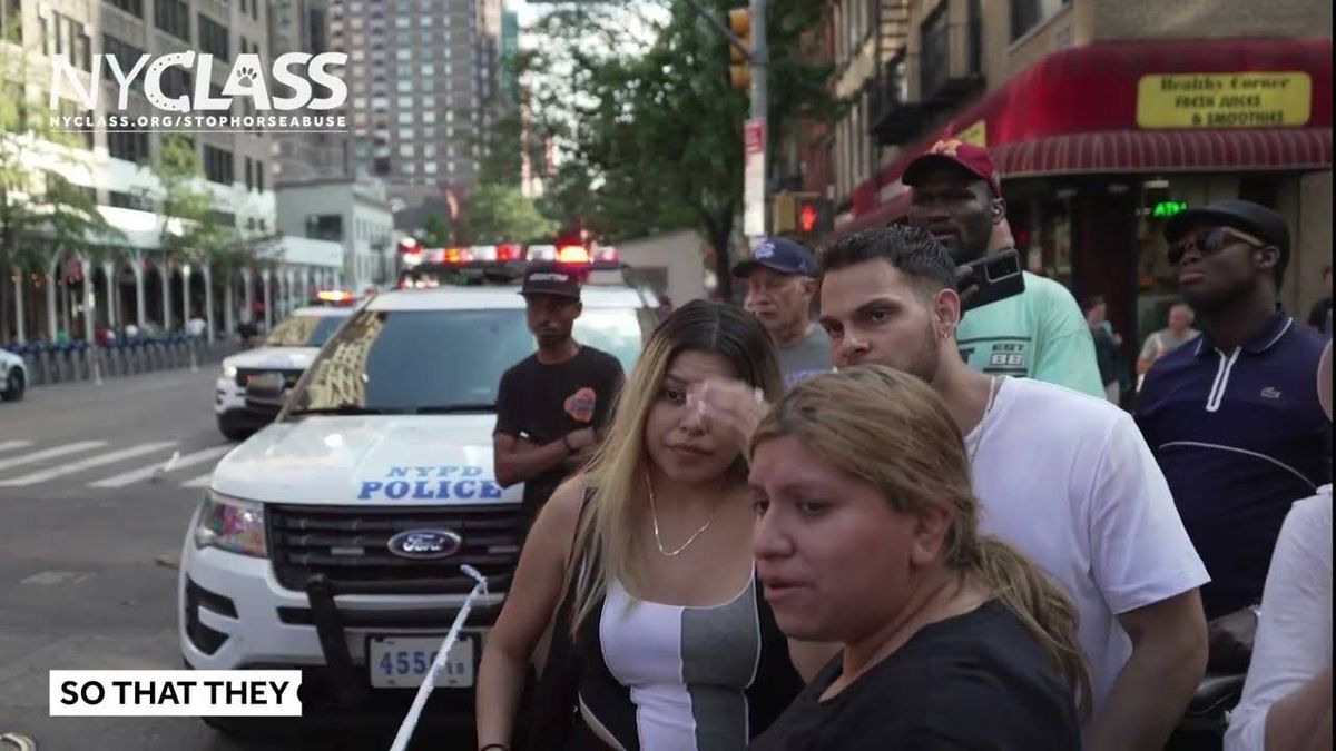VIDEO: New ad campaign targets 15 NYC council members urging them to ban carriage horses