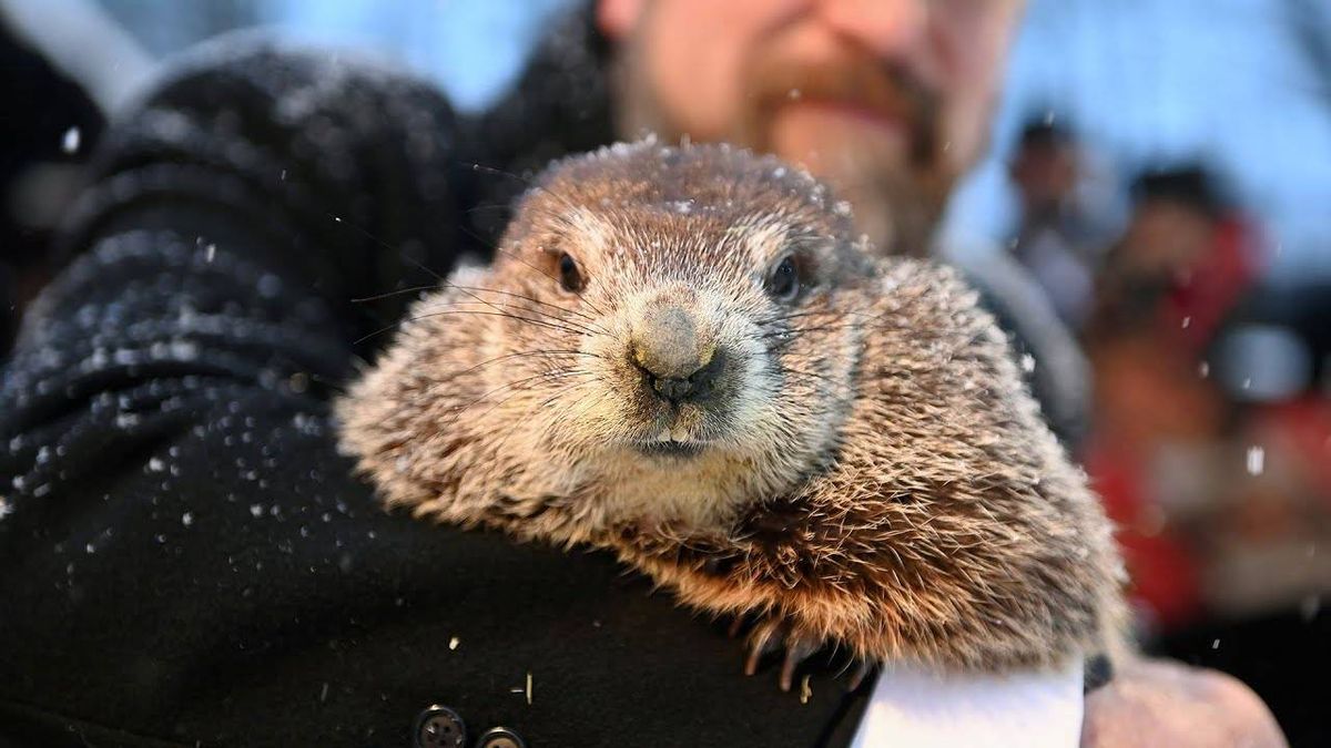 GROUNDHOG DAY: Staten Island Chuck, Punxsutawney Phil disagree on spring prediction