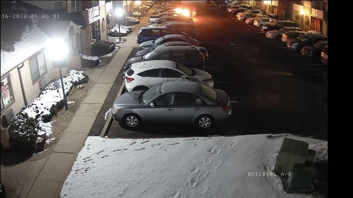 VIDEO: Suspect sought after vehicle erupts in flames in LI arson