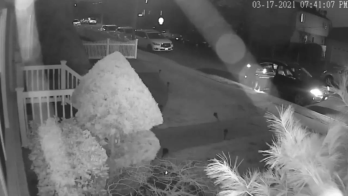 PHOTOS: Acid thrown on LI Hofstra student; $10K reward offered